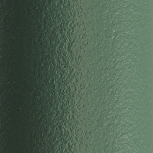 Metallo Verde VE600E