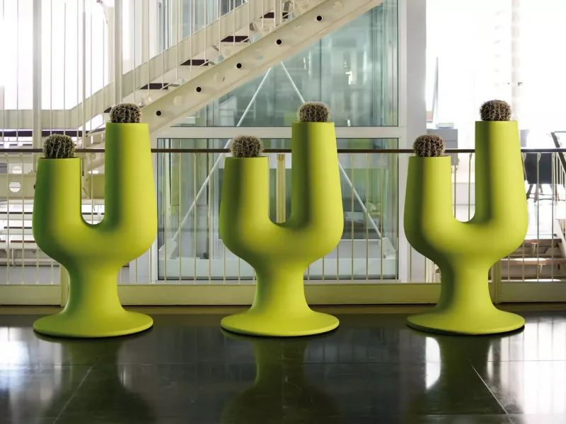 Plust Cactus H 126